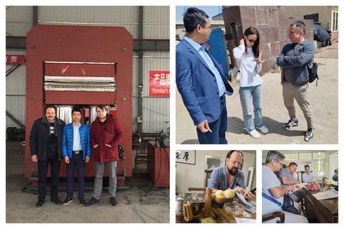 آخرین راه حل های شرکت در مورد مشتری های اروپایی خریدن ماشین ولکاناسیون قالب گاو