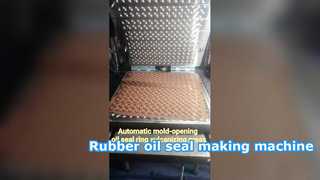 پرس ولکانیزه کننده لاستیکی CE برای ساخت حلقه مهر و موم روغن لاستیکی